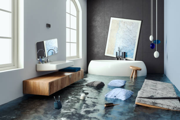 Best Carpet water damage restoration  in Robert Lee, TX