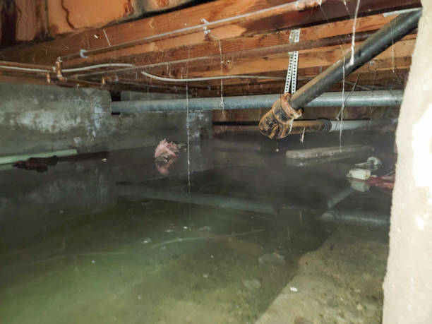 Best 24-hour water damage restoration  in Robert Lee, TX