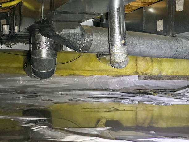 Best Flood damage cleanup  in Robert Lee, TX