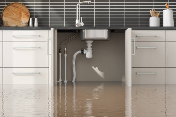  Robert Lee, TX Water damage restoration Pros