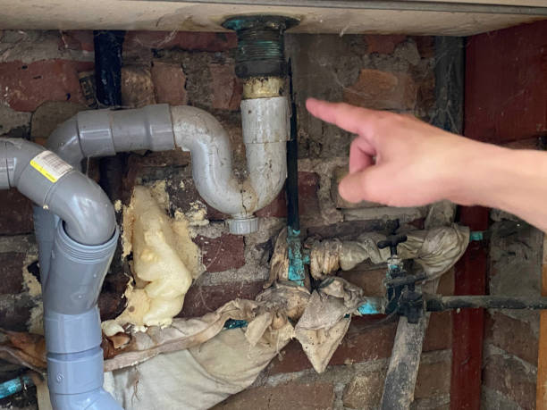 Best Ceiling water damage repair  in Robert Lee, TX