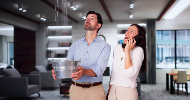 Best Water damage restoration experts  in Robert Lee, TX